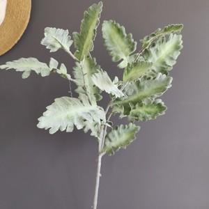 Directo de Fábrica OEM/ODM Tallos Artificiales de Senecio Cineraria Plateado con Hojas Flocadas para Decoración Floral de Bodas - Product Image 1