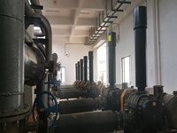 Souffleur d'air Roots pour le transport de gaz de processus dans les fours d'usines sidérurgiques et les systèmes auxiliaires de fusion