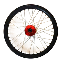 Avant 19 arrière 16 vélo électronique vélo complet roues en alliage à rayons pour Sur ron Light Bee X