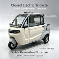 Tricycle électrique familial compact à 3 roues avec cabine scellée, scooter de mobilité électrique à basse vitesse pour adultes