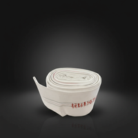 Tuyau d'incendie en PU 65 mm 20 m blanc, rouleau de tuyau d'incendie avec revêtement ignifuge, thermosoudé, capacité de charge 10-50 kN
