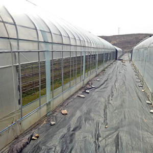 A basso costo di plastica fungo serra con il sistema di controllo del clima - Product Image 4