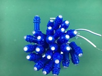 Dekorative Wasserdichte LED-Weihnachtsbaumbeleuchtung LED-Zug-Lichterkette DC12V Neon Pixel LED Funkelnde Lichter