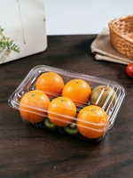 Ecologisch verantwoorde recyclebare PP/food-grade PET plastic snackbox, wegwerp clamshell voor fruit- en groentesnacks voor afhaal