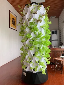 खड़ी बागवानी सिस्टम aeroponic टॉवर हीड्रोपोनिक्स संयंत्र विकसित करने के लिए टॉवर सब्जी बढ़ने