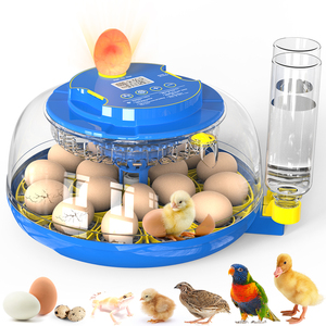 Nouvel incubateur à LED pour oiseaux avec retournement automatique, capacité de 18 œufs, taux d'éclosion de 98 % pour œufs d'oie et de <span class=keywords><strong>perroquet</strong></span> - Product Image 5