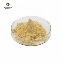Gomme xanthane 200 mesh, poudre fine naturelle d'hydrocolloïde pour compléments alimentaires et utilisation dans l'industrie des boissons