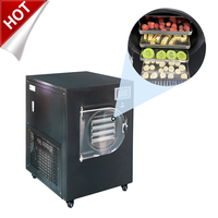 Mini Kleine Vriesdroogmachine Groot Voedsel Groente Fruit Thuis Zelfgemaakte Huishoudelijke Laboratorium Vriesdroger Unit