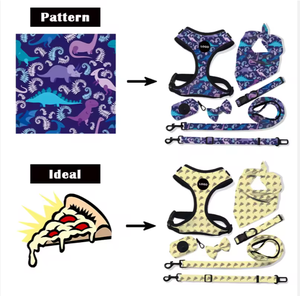 Arnés y Correa para Perro con Diseño de Flores, Juego de Arnés de Lujo Ajustable y Antitirones para Mascotas con Asa - Product Image 5