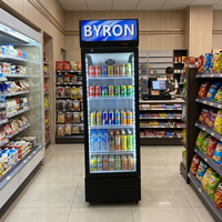 Vitrine Réfrigérée Grande Capacité Sans Givre avec Serrure à Clé de Sécurité pour Boissons, Sodas, Bières, Jus – Idéale pour Magasins de Détail