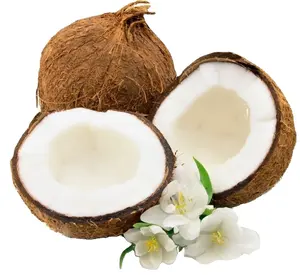 Huile de noix de coco aide au sommeil extrait anti-stress pour la douleur anxiété et le soulagement du stress