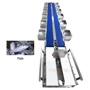 Full-automatic Weight sorting machine Suitable for abalone and lobster Weight sorting machine