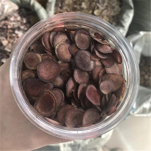 لو رونج المخملية الغزلان قرن الوعل شريحة بيلوز قرن الوعل لتكملة الدم - Product Image 5