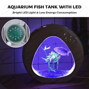 <span class=keywords><strong>Aquarium</strong></span> de bureau en acrylique de <span class=keywords><strong>1</strong></span> <span class=keywords><strong>gallon</strong></span> avec pompe de réservoir de poissons Betta et filtration-Bol à poisson de bureau pratique dans un emballage en boîte - Product Image 3