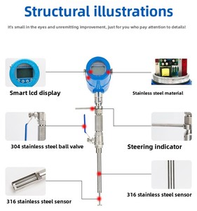 カスタマイズ可能なステンレス鋼ドライクリーニングガス流量計 RS485 4-20mA 可変面積式オイルフランジタイプ LCDディスプレイ 1%精度 OEM - Product Image 2