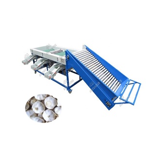 4 Sorten runde Obsts ortier maschinen/kleine Obsts ortier maschine zum Sortieren der Knoblauch zangen in 3 Sorten - Product Image 5