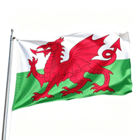 Drapeau gagnant d'extérieur du Pays de Gal 3x5FT avec 2 œillets métalliques en cuivre, drapeau flottant pour la maison, le jardin, l'éducation, la décoration des fans de sport