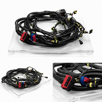Harness Mesin Pengganti Lengkap Dengan Kabel Ecu dan Kabel Injeksi Bahan Bakar untuk Proyek Perbaikan Mobil Bensin