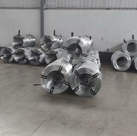 Fil de fer galvanisé 0,2 mm-20 mm, bobine de fil de fer électrogalvanisé pour la construction, les clôtures et le paillage