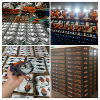 Nouveau projecteur Bi-LED 80W 2026 pour phare de voiture, lentille de projecteur à double faisceau MS2 6000K, mise à niveau et rénovation de phare LED