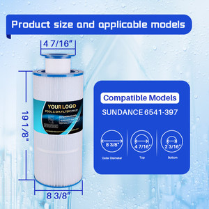 Filtre extérieur compatible <span class=keywords><strong>UFC</strong></span>-397 6541-397 AK-6541397 6473-165 Intérieur 6473-164 Filtre de piscine <span class=keywords><strong>Prix</strong></span> Système de filtration de piscine d'eau - Product Image 2