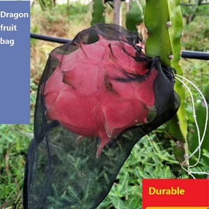 Maille anti-insectes <span class=keywords><strong>sac</strong></span> <span class=keywords><strong>dragon</strong></span> fruits de raisin <span class=keywords><strong>sac</strong></span> anti-oiseaux insectifuge en nylon trempette sachet de graines - Product Image 2