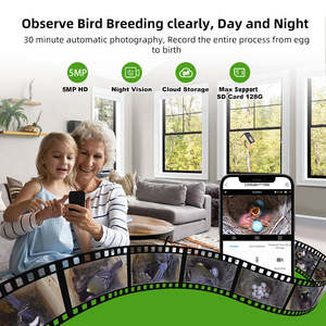 5MP HD Kameralı, Güneş Enerjili, Bambu Tasarımlı Ekolojik Gözlem Kuş Evi (Dış Mekan Kullanımı İçin) - Product Image 5