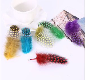 <span class=keywords><strong>Venta</strong></span> al por mayor teñido <span class=keywords><strong>Guinea</strong></span> pluma Natural barato <span class=keywords><strong>Guinea</strong></span> plumas para la <span class=keywords><strong>venta</strong></span> - Product Image 3