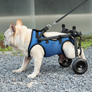 Fauteuil roulant professionnel écologique et réglable pour animaux de compagnie, idéal pour la récupération des pattes arrière, facile à mettre et à enlever, pliable, pour chiens et chats - Vente chaude - Product Image 5