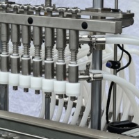 Machine de remplissage de bouteilles à débordement avec remplissage multi-têtes à niveau contrôlé pour jus, vin, détergent, liquides chimiques – Solutions de projets OEM