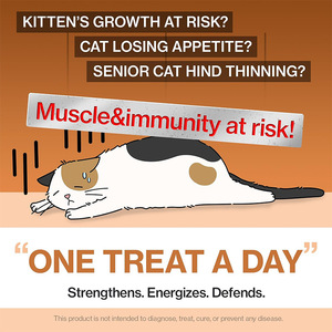 Nuovo Integratore per <span class=keywords><strong>Gatti</strong></span> TK con Lattoferrina, Proteine del Colostro e Supporto Immunitario - Product Image 2