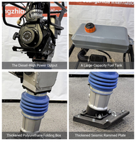Factory OEM Tamping Rammer Diesel Power Engine Impact Vibrating Rammer Machine
