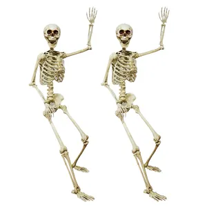 5 Ft menschliches Kostüm bewegliche Gelenke Halloween-Skelett für Party