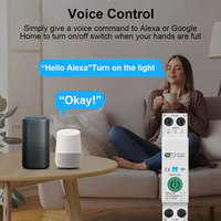 Interrupteur intelligent WIFI, disjoncteur 63A 1P, mesure de la puissance, surveillance, minuterie, relais pour maison intelligente, télécommande sans fil