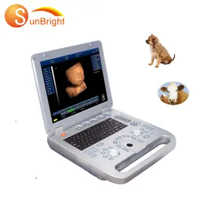 Portable Medical Veterinary Ultrasound Instruments Portable Digital Ultrasound Diagnostic Usg 2d 3d 4d Ultrasound 15 Inch LED