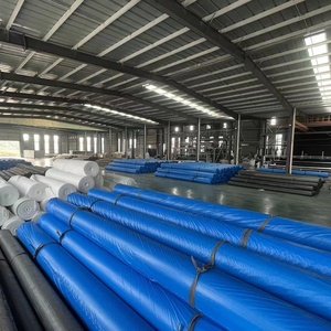Soldes d'été : Géomembrane HDPE bleue de 2,0 mm pour bassin salé au Chili – Revêtement de barrage HDPE Fiyat - Product Image 4