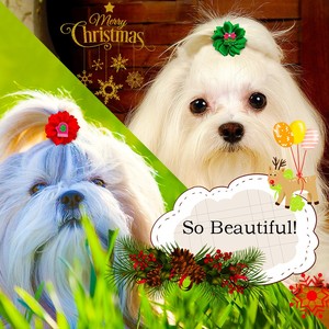 Lazos de tela coloridos al por mayor para el aseo de mascotas en verano - Accesorios florales suaves para el pelo de perros pequeños para días festivos y cumpleaños - Product Image 2