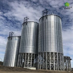 Silo à Grain Professionnel en Acier Galvanisé à Fond Conique 500-1000T Certifié ISO CE Longue Durée de Vie 20-50 Ans - Product Image 5