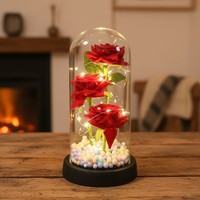 Rose éternelle artificielle Botu avec lumière LED, La Belle et la Bête sous cloche en verre, décoration de Noël pour la maison, cadeau pour la fête des mères, la Saint-Valentin