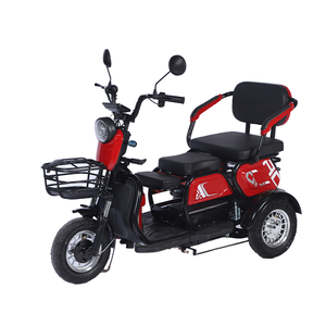 Triciclo Eléctrico para Pasajeros, Motocicleta Todoterreno de 3 Ruedas, Motocross para Adultos, Edición Estándar, Carrocería Abierta - Product Image 1