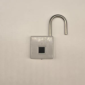 Candado Digital Biométrico Electrónico Impermeable, Candado Inteligente de Autoservicio, Anti-robo, Sin Llave, Gran Venta - Product Image 1
