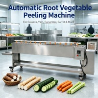 Automatische groenteschilmachine voor cassave, yam, wortel, komkommer, daikon, commerciële voedselverwerkingsapparatuur