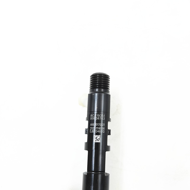 common fuel injector fuel injector EJBR02601D  EJBR04601D EJBR04701D A6650170121 A6650170321 for Delphi engine