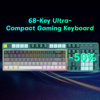 Hotswab Custom 68 Keys 65% Gamer Keyboard Side Printed PBT Keycaps RGB Backlit Blue Switch Wired Gaming Mechanical Keyboard