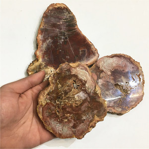 Chất Lượng Cao Đá Tự Nhiên Xylopal Slice Gỗ Slab <span class=keywords><strong>Fossil</strong></span> Cho Trang Trí Nội Thất - Product Image 3