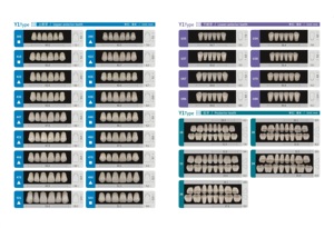 Dientes de Resina Acrílica Anteriores Superiores e Inferiores de Alta Calidad, 2, 3 y 4 Capas, Prótesis Dentales - Product Image 2