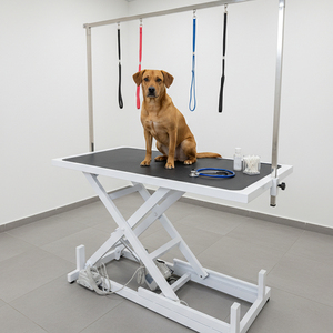 工場直販 プロ仕様 油圧式電動ペットグルーミングテーブル ペットサロン 犬猫グルーマー ショーテーブル ヘアカットテーブル - Product Image 2