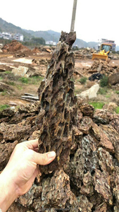 Piedra de dragón para acuario, piedra de Acuario, decoración de paisajismo - Product Image 3