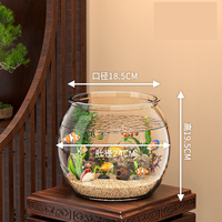 Réservoir de bol de tortue de poisson rond en plastique écologique accessoire d'aquarium de décoration de maison pour l'utilisation d'aquarium