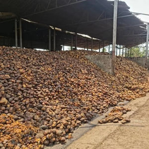 Gránulos de PP de Alta Calidad DRC 72%, Grado Alimenticio, Material Plástico para Piscifactorías Alemanas, Material Redondo para Peceras, Trozos de Goma Natural - Product Image 4